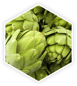 Artichoke Extract ingredient image