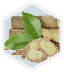 Tongkat Ali ingredient image