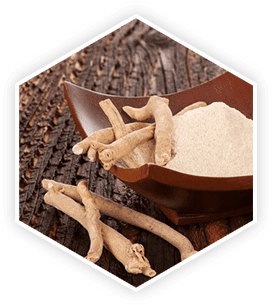 Ashwagandha ingredient image
